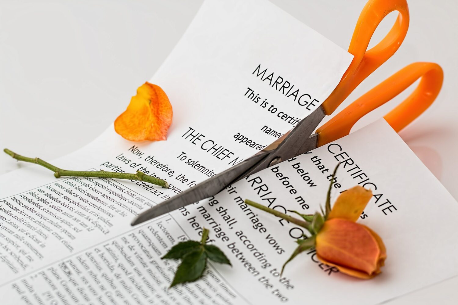 i-lost-my-divorce-certificate-what-you-need-to-know